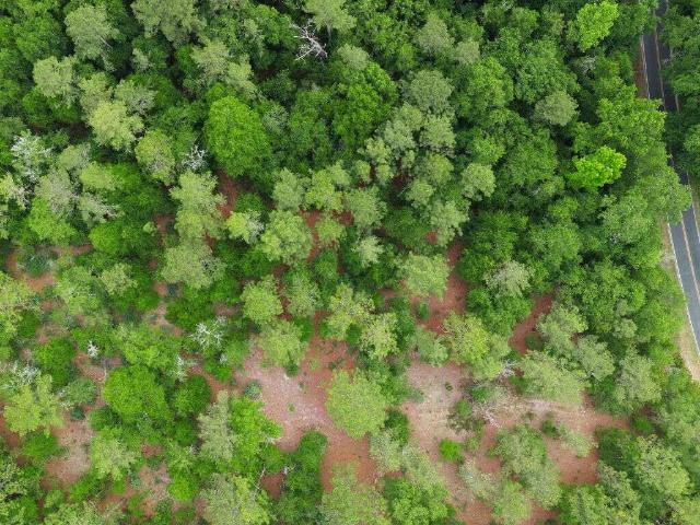 Land for sale in Aiken, South Carolina