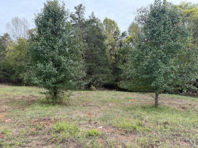 Land for sale in Davis Mill, Moneta
