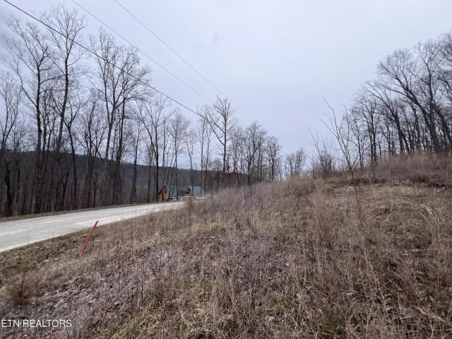 Land for sale in Tennessee