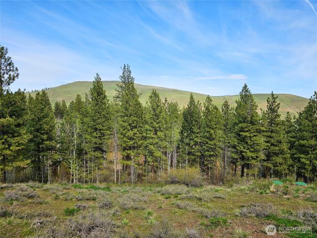 Land for sale in Winthrop, Washington
