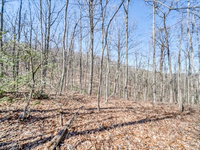 Land for sale in Tennessee