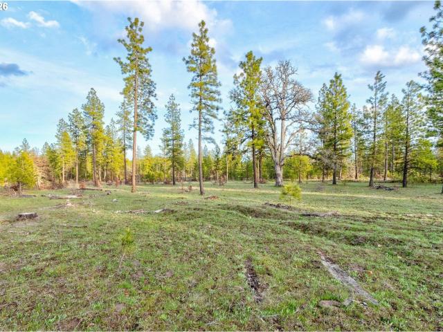Land for sale in Goldendale, Washington