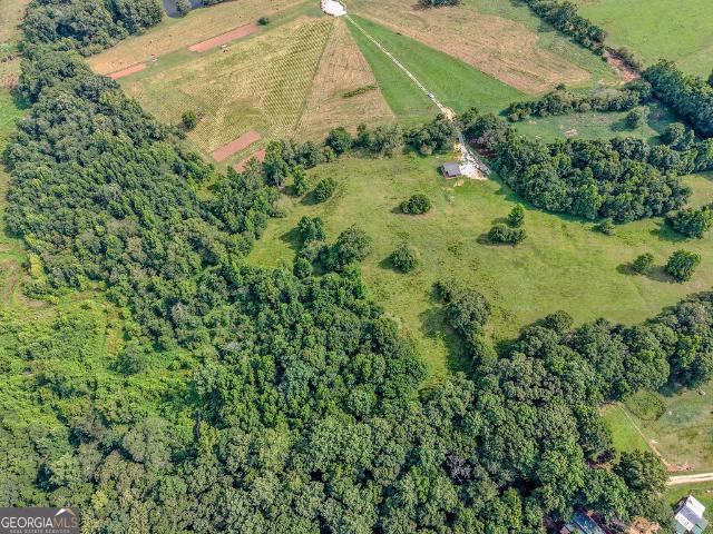 Land for sale in Nicholson, Georgia