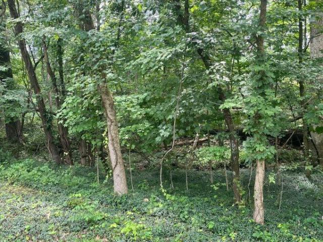 Land for sale in Sardinia, Ohio
