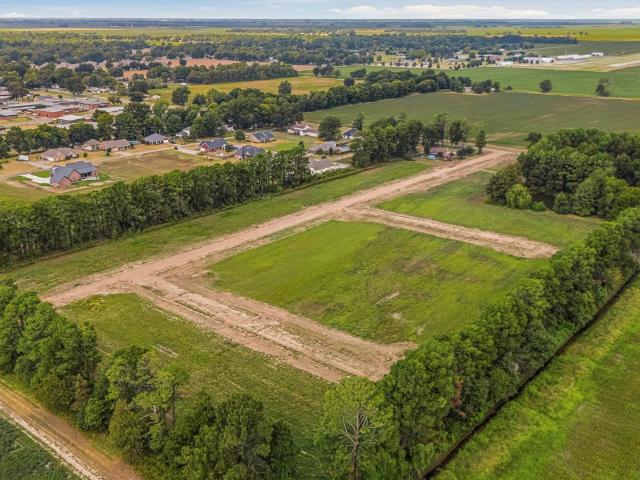 Land for sale in Manila, Mississippi County