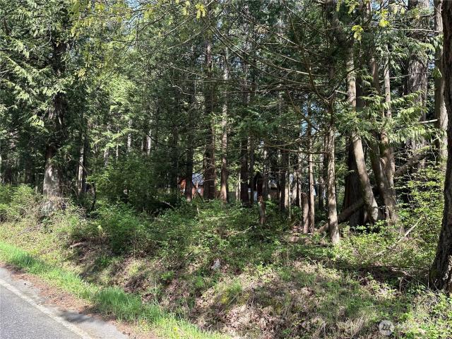 Land for sale in Point Roberts, Washington