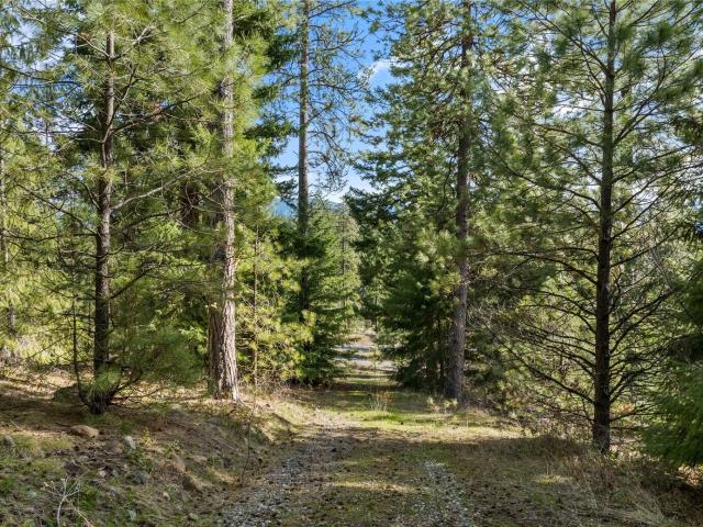 Land for sale in Roslyn, Washington