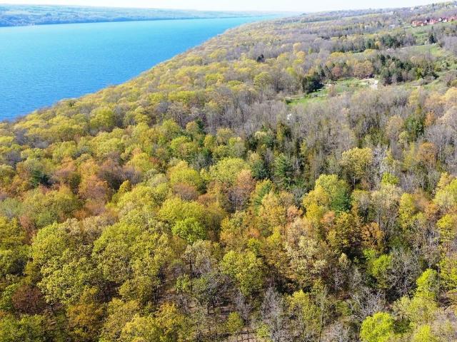 Land for sale in Alpine, New York