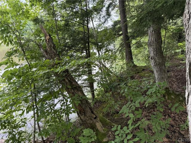 Land for sale in Chaumont, New York