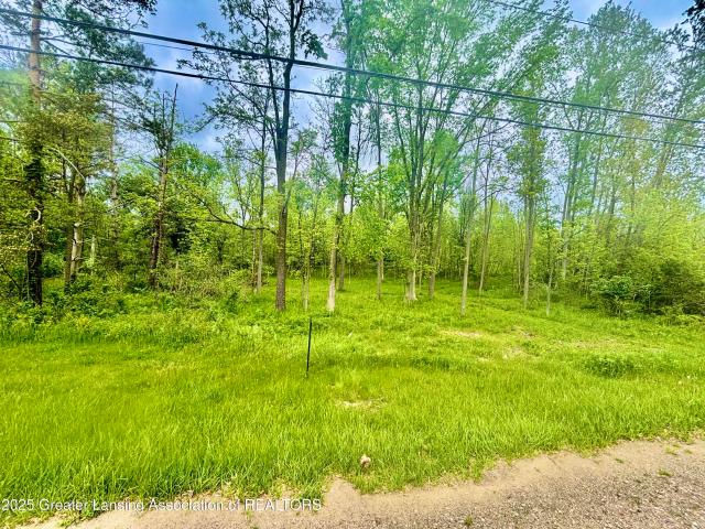 Land for sale in Eaton, Michigan