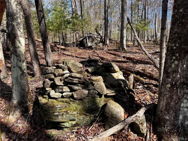 Land for sale in Bearsville, New York