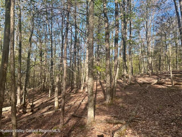 Land for sale in Bearsville, New York