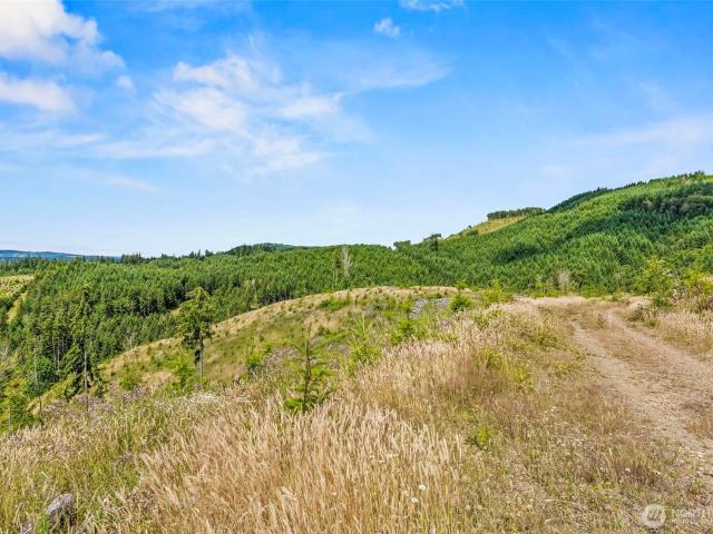 Land for sale in Kelso, Washington