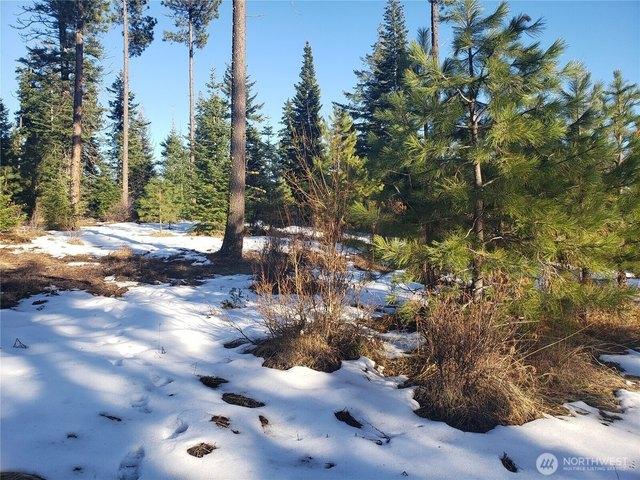 Land for sale in Roslyn, Washington