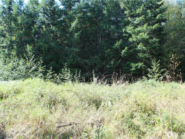 Land for sale in Kelso, Cowlitz County