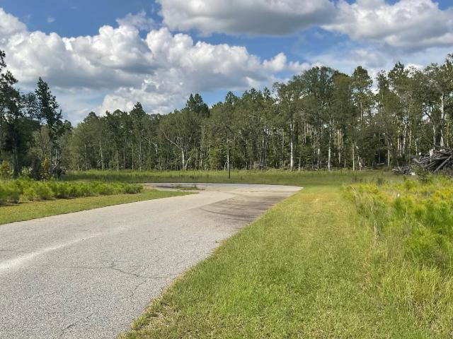 Land for sale in Vidalia, Georgia