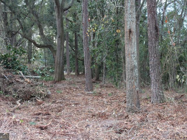 Land for sale in Lenox, Cook County