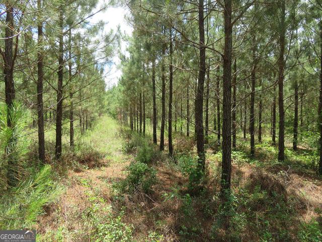 Land for sale in Stewart, Georgia