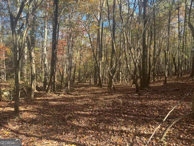 Land for sale in Roopville, Georgia
