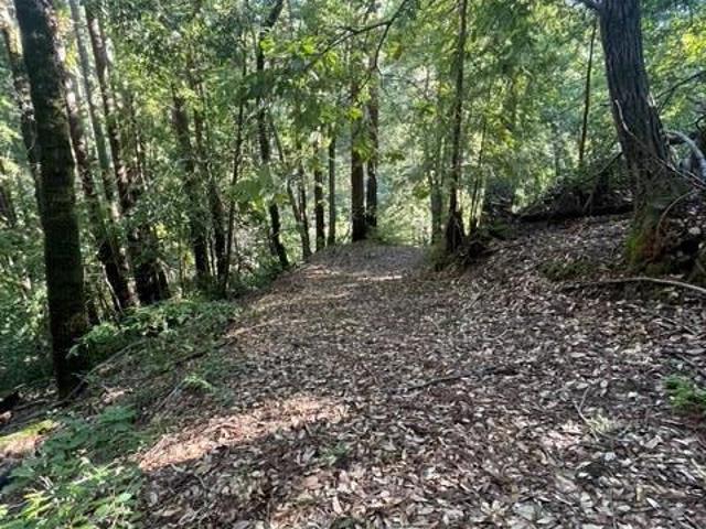 Land for sale in Ben Lomond, California