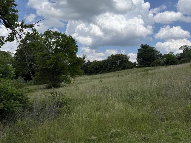 Land for sale in Tennessee