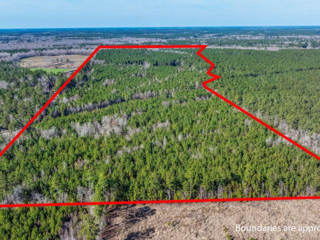 Land for sale in South Carolina