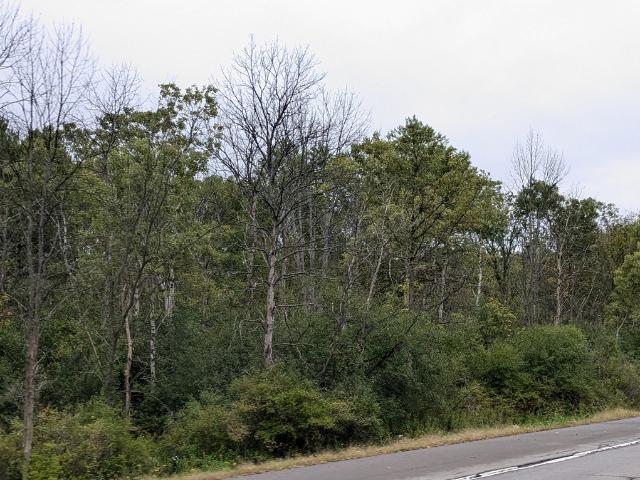 Land for sale in Town of Dryden, Tompkins County