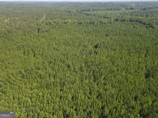 Land for sale in Eatonton, Georgia