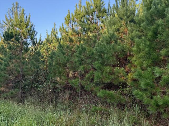 Land for sale in Eatonton, Putnam County