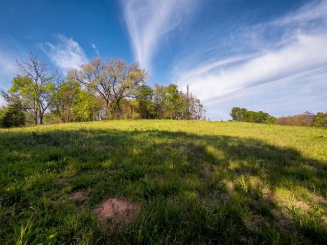 Farm for sale in Tennessee