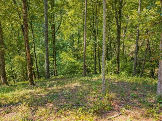 Land for sale in West Brook, Talking Rock