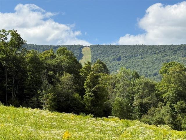 Land for sale in Denver, New York
