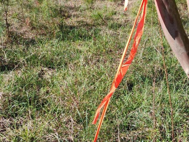 Land for sale in Crawfordville, Georgia