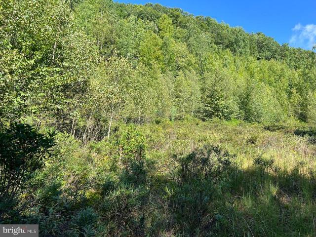 Land for sale in Gilbert, Pennsylvania