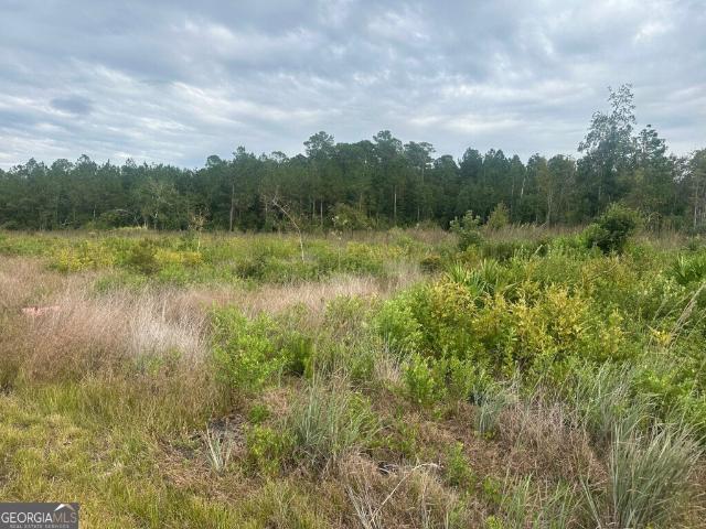 Land for sale in Guyton, Georgia