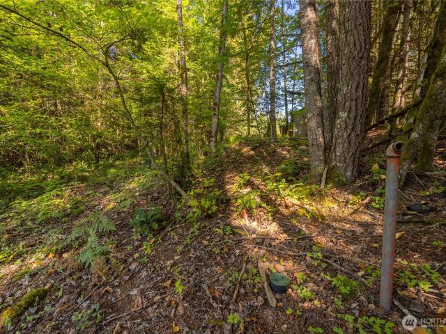 Land for sale in Packwood, Lewis County