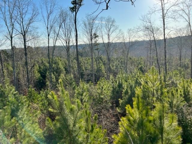Land for sale in Dacula, Georgia