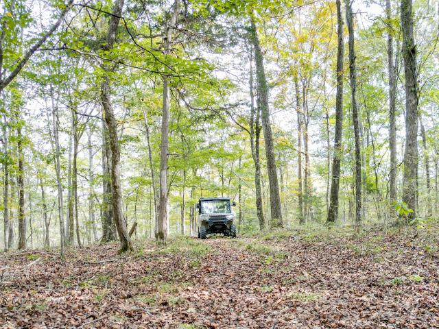 Farm for sale in Tennessee