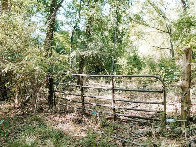 Land for sale in Washington, Wilkes County