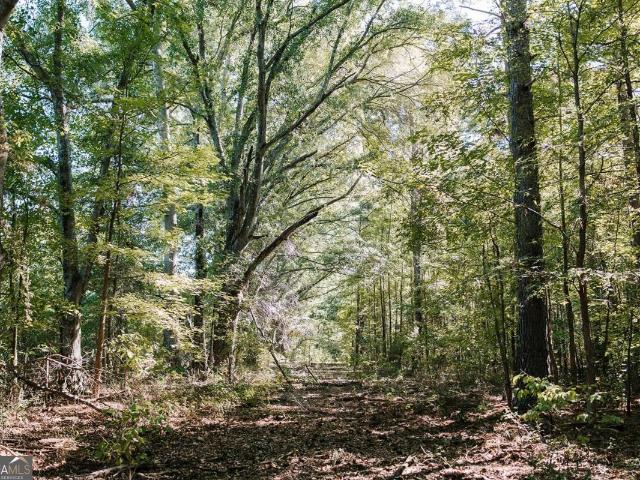 Land for sale in Washington, Wilkes County