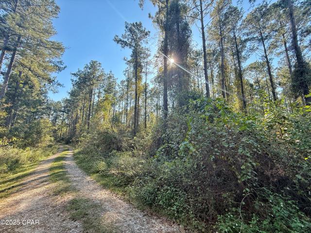 House for sale in Sneads, Florida
