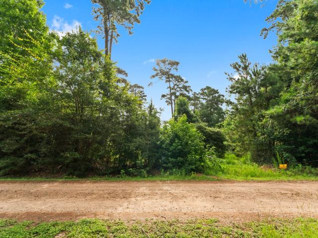 Land for sale in Tomball