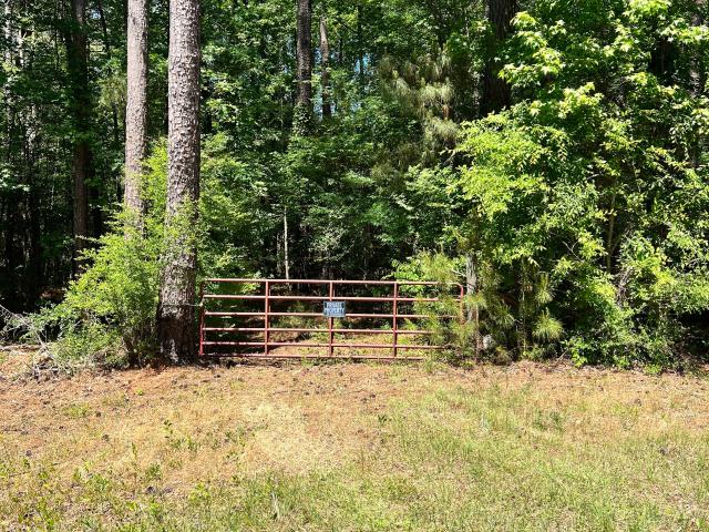 Land for sale in Crawfordville, Georgia