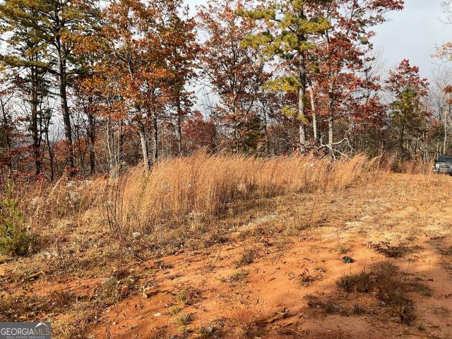 Land for sale in Clayton, Georgia