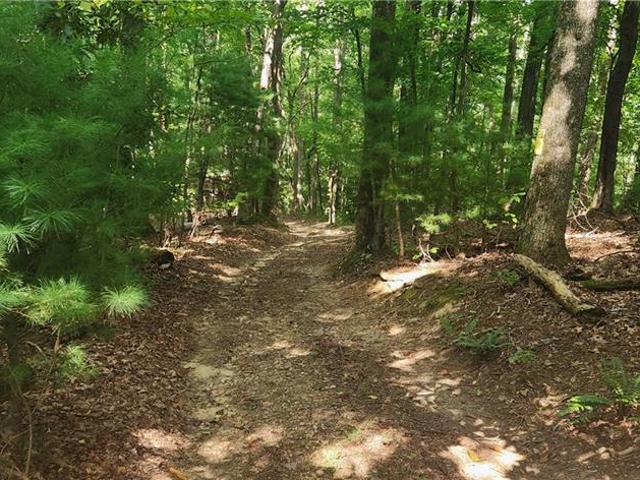 Land for sale in Alleghany, North Carolina