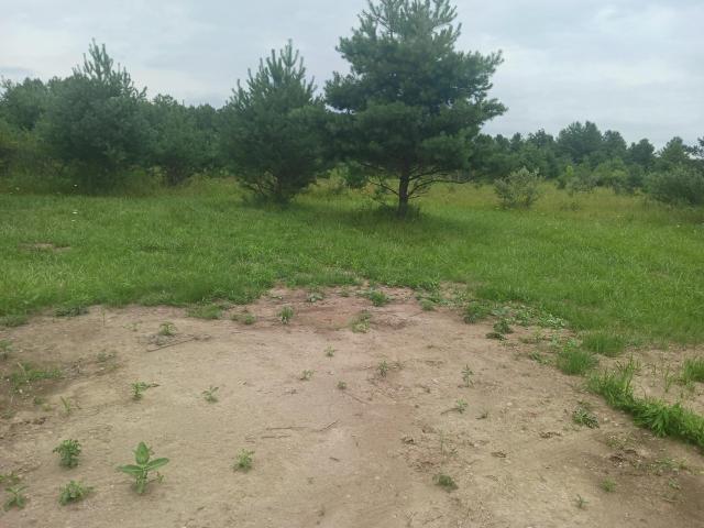 Land for sale in Michigan