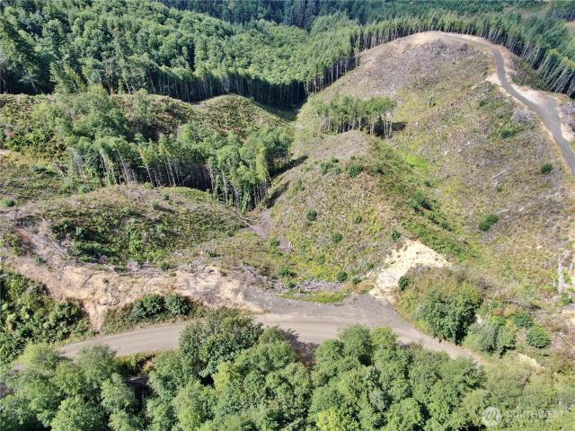 Land for sale in Cosmopolis, Washington