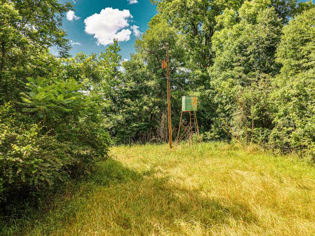 Land for sale in Eupora, Mississippi