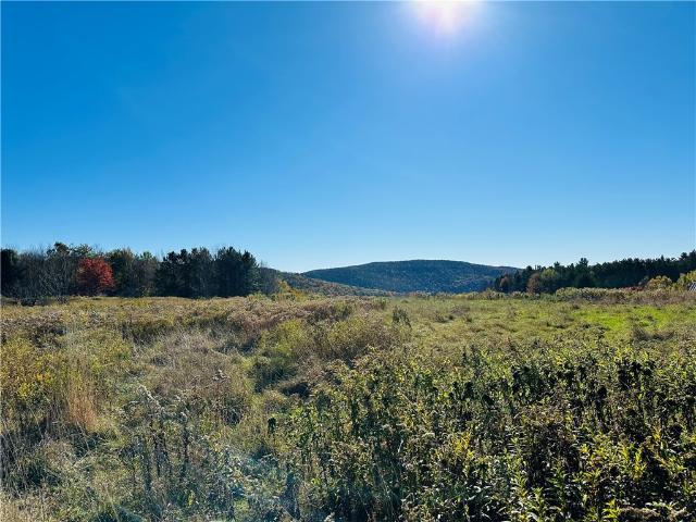 Land for sale in Hamden, New York