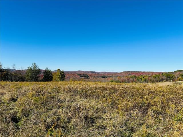 Land for sale in Hamden, New York